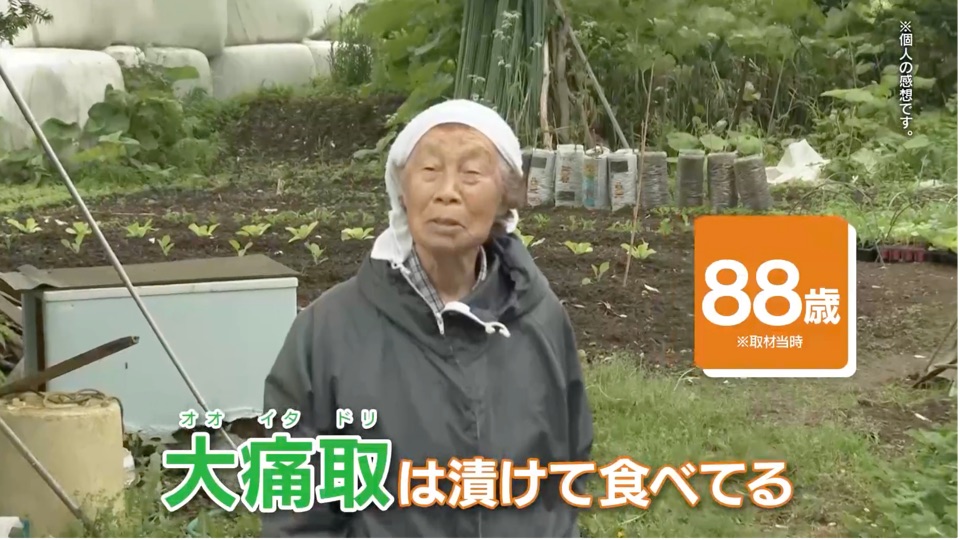 畑の前で話す88歳の女性。字幕「大痛取は漬けて食べてる」